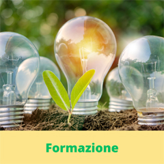 Formazione