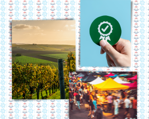 Contributi a fondo perduto per iniziative di valorizzazione del territorio, Green economy e certificazioni di qualità Contributi a fondo perduto per iniziative di valorizzazione del territorio, Green economy e certificazioni di qualità