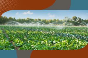 Bando Agricoltura green 2026