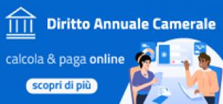 Diritto Annuale